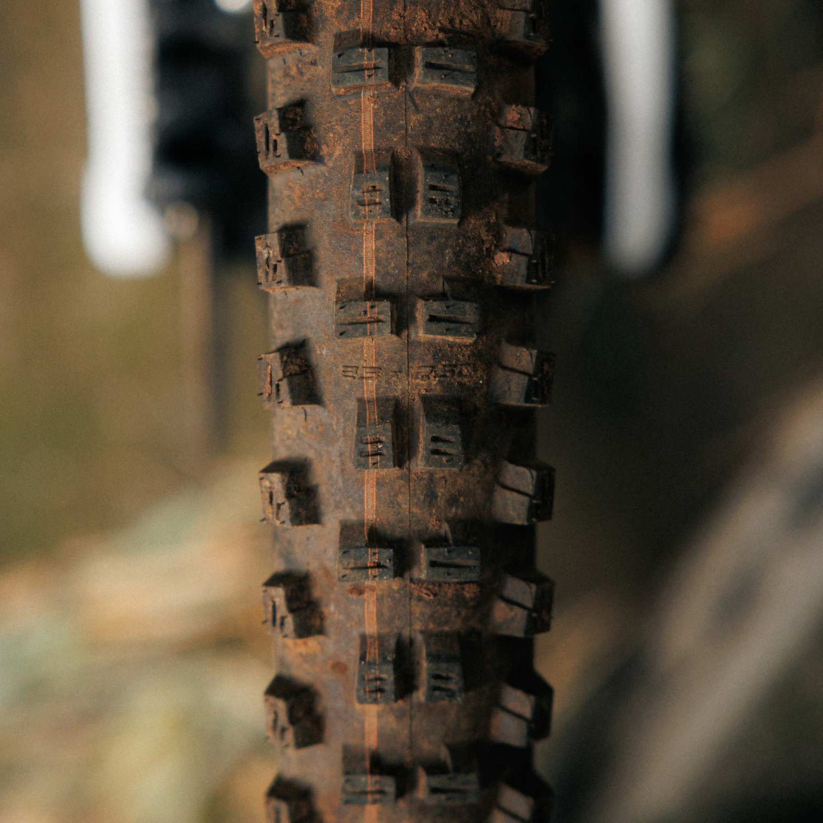 Tacky Chan Trail Pro Radial Soft Folding TLR
