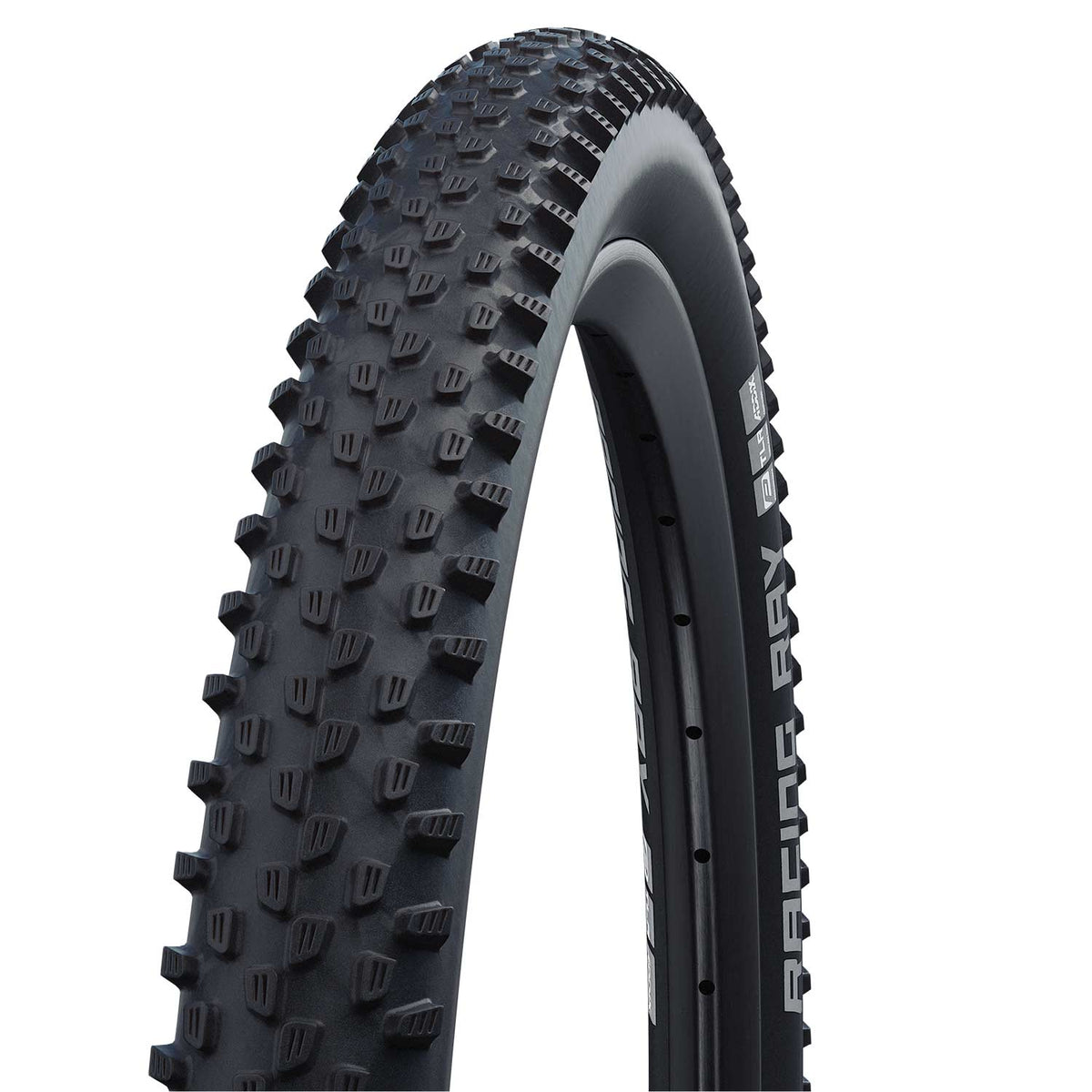 Racing Ray Performance TLE Folding