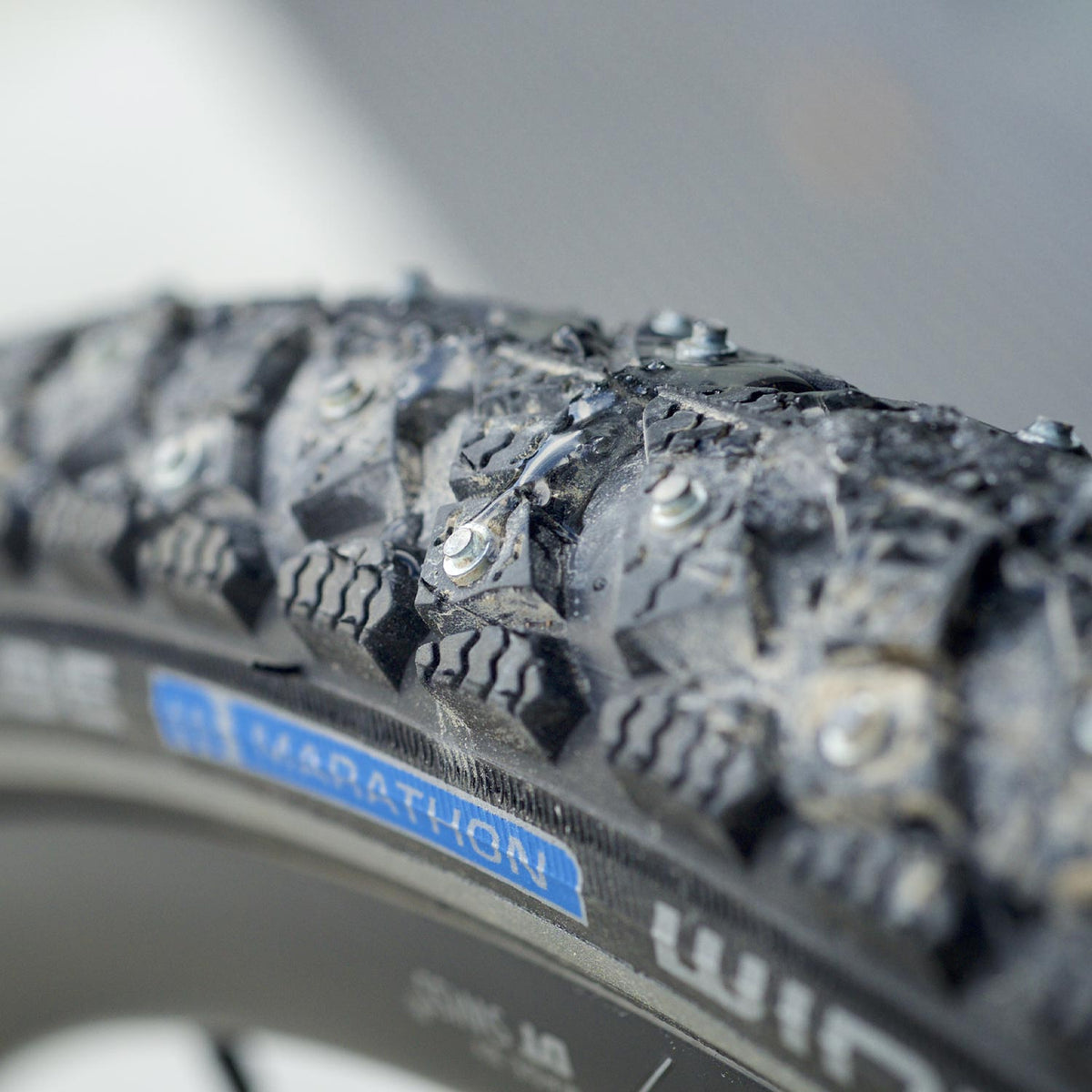 Marathon Winter Plus Smartguard