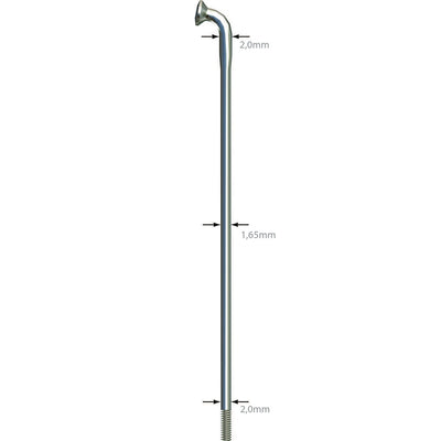 Sapim D-Light 14G Disc D/B Sil 288mm (100)
