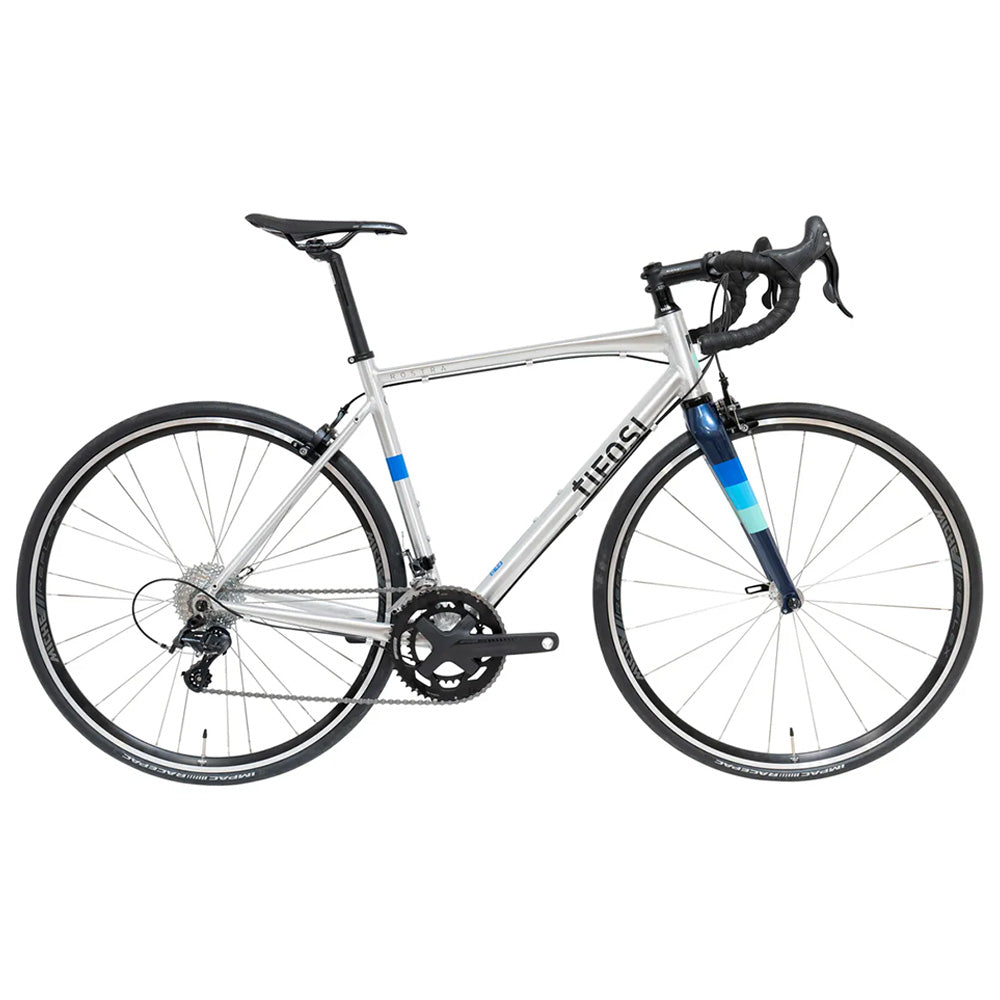 Rostra Centaur Rim Brake Bike