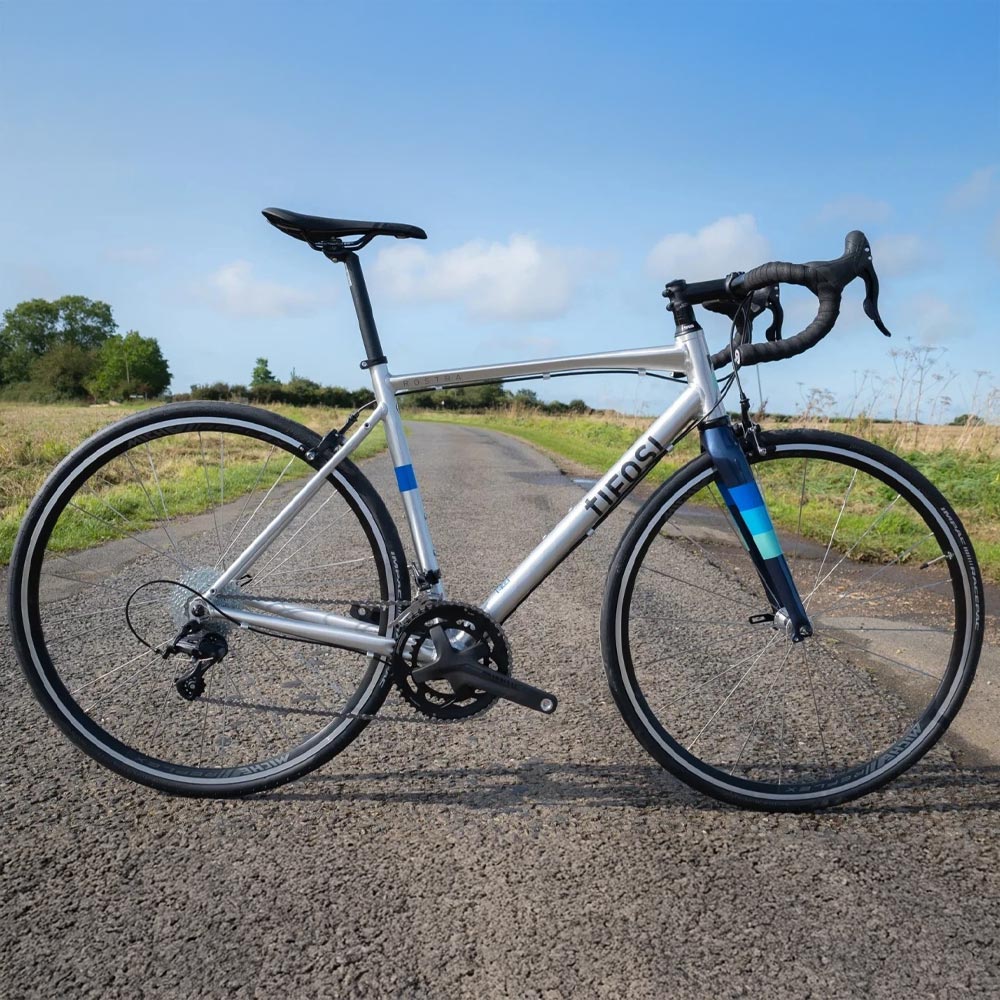 Rostra Centaur Rim Brake Bike