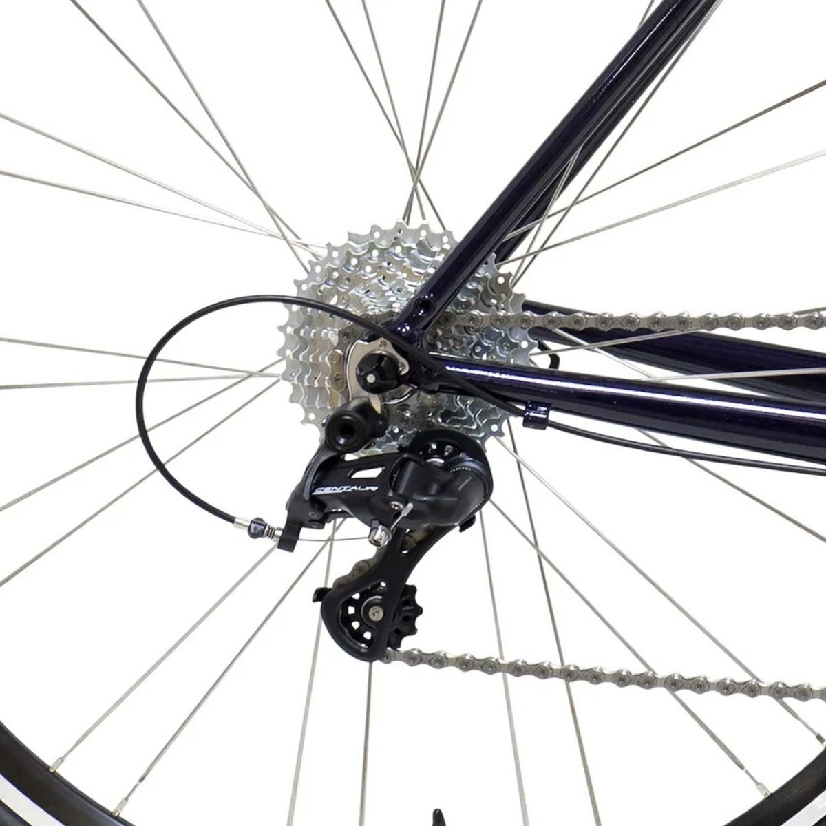 Rostra Centaur Blue Rim Brake Bike