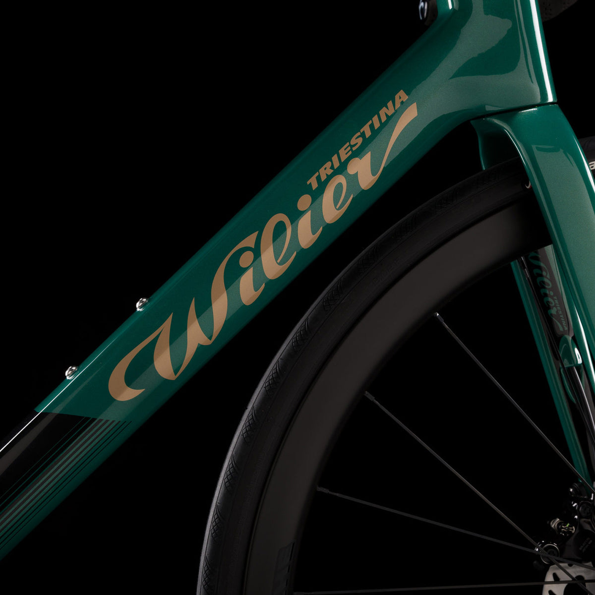 Garda Ultegra Di2 Green/Gold Bike
