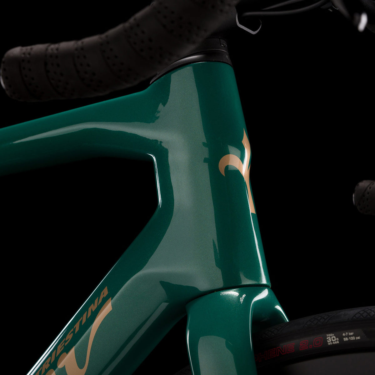 Garda Ultegra Di2 Green/Gold Bike