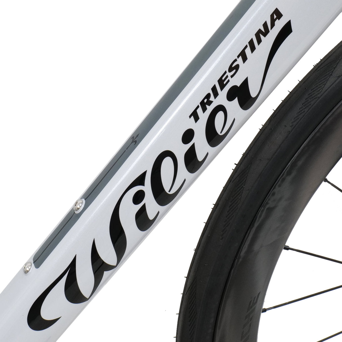 Filante SL 105 Di2 SWR Silver/Black Bike