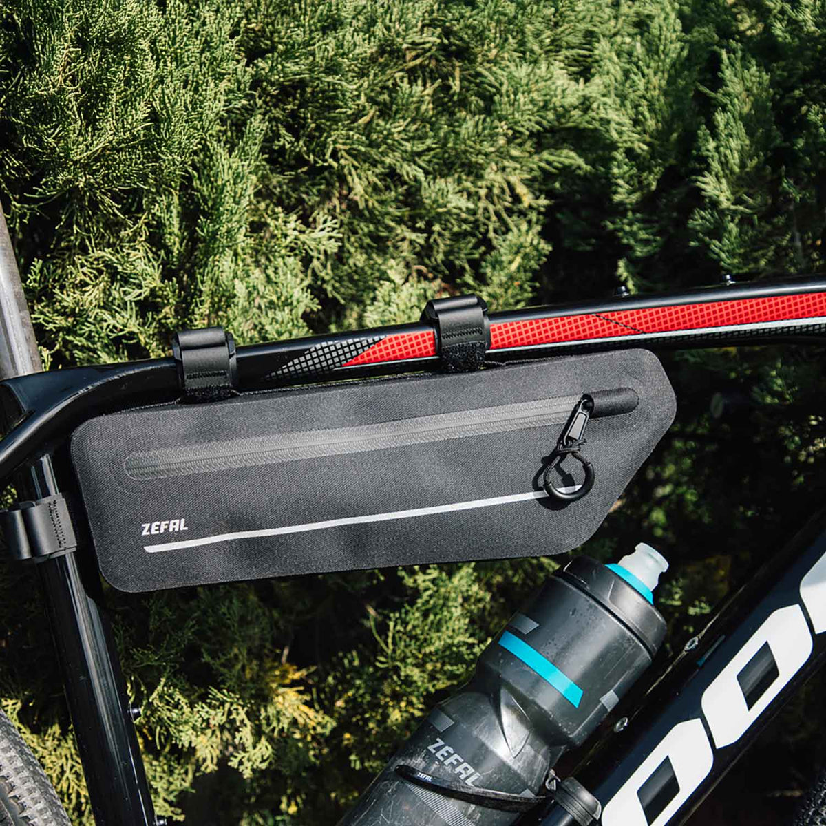 Z Adventure C2